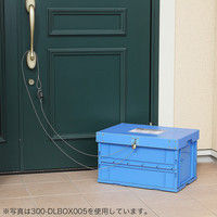 サンワダイレクト 宅配ボックス用鍵・ワイヤーセット（南京錠・ダイヤル錠/4桁・盗難防止用ワイヤー/2m） 300-DLBOXSET1 1個（直送品）