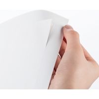 サンワダイレクト ラベルシール（下地が透けない 訂正シール・ノーカット・A4・楽貼りタイプ） 300-DTP01 1個（直送品）