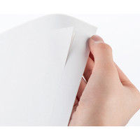 サンワダイレクト ラベルシール（下地が透けない 訂正シール・12面・A4・楽貼りタイプ） 300-DTP12 1個（直送品）