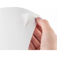 サンワダイレクト ラベルシール（再剥離シール・24面・A4・楽貼りタイプ） 300-RLD24 1個（直送品）