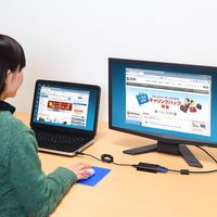 サンワダイレクト USB-VGA変換アダプタ（ディスプレイ増設・マルチディスプレイ対応・USB入力・VGA出力） 500-KC002N 1個（直送品）