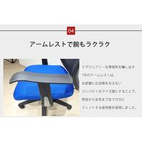 ネットフォース オフィスチェア メッシュチェア エクリプス 背：ブラック×座面：ブラック ELS-1-A-AW 1脚（直送品）