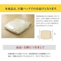 イケヒコ こたつ布団 長方形 掛け敷きセット チェック柄 グラン 幅1900×奥行2400mm ブラック 5987020 1枚（直送品）