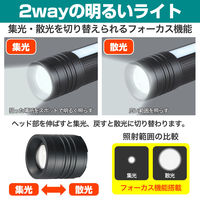 朝日電器 フォーカスLEDアルミライト DOP-EP306 1個