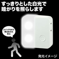 朝日電器 LEDスイッチ付ライト PM-LC101（W）（直送品）