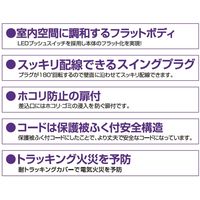 朝日電器 耐雷フラットスイッチ付タップ4P3m WBS-LS403F(W) 1個