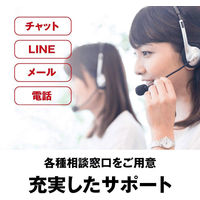 バッファロー USB2.0対応ポータブルDVDドライブ ブラック DVSM-PLV8U2-BKA 1台