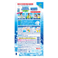 白元アース アイスノンシャツミストミントの香り大容量つめかえ用280mL 02464-0 1個