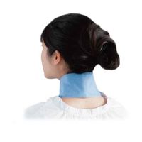 タカビシ化学 ひんやりタイム S3873-05 1個