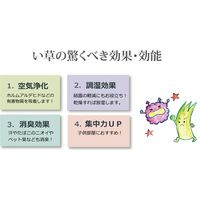 イケヒコ フリーカット い草 上敷き カーペット 裏ウレタン張り 『F不知火』 三六間1畳 幅1820×奥行910mm  1枚（直送品）