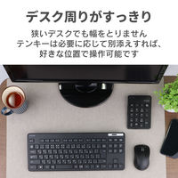 ワイヤレスキーボード マウスセット 無線 テンキーレス コンパクト メンブレン 薄型 TK-FDM109MBK エレコム 1個（直送品）