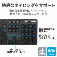 ワイヤレスキーボード マウスセット 無線 フルサイズ 薄型 メンブレン ブラック TK-FDM110MBK エレコム 1個（直送品）