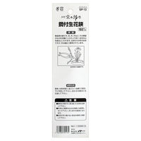 ビッグマン 宗二郎 ハガネ付き生花鋏165ミリ SP-13 030513（直送品）