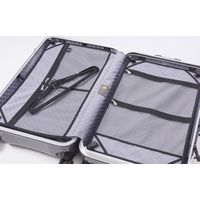 アジア・ラゲージ ALI-1031-28Sパールピンク（直送品）