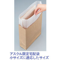 プチプチ（R)袋 底マチ付き（宅配袋 小用）250×310×70mm 1袋（100枚入）川上産業