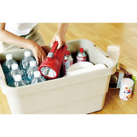 トランクカーゴ L 70L  アイボリー TC-70 4個 リス