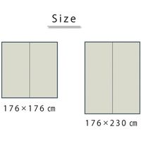 イケヒコ い草ラグ ラグ カーペット 2畳 正方形 『DXクロネコ』 幅1760×奥行1760mm ブラック  1枚（直送品）