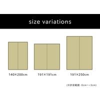 イケヒコ い草ラグ 国産 カーペット 『Fレパード』 幅1400×奥行2000mm グレー 1050500132303 1枚（直送品）