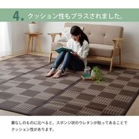 イケヒコ ラグ PPカーペット 『Fウィード』 江戸間3畳 幅1760×奥行2610mm ブラウン 1090281061003 1枚（直送品）