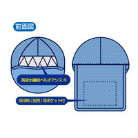 ブレイン クールヘッド+プラス(保冷剤別売) BR-558 1個