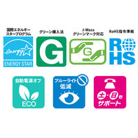 アイ・オー・データ機器 4K対応&広視野角VAパネル採用 LCD-M4K321XVB 1台