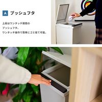 アスベル 分別ダストボックスパッキン付ペダル2段スリム38L 4974908680182 1個