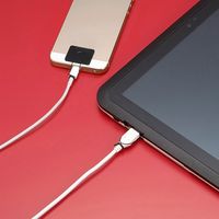 サンワサプライ 汎用チョイロック(タブレット・Wi-Fiルーター・スマートフォン対応) CA-NB009 1個