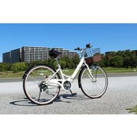 【自転車・折りたたみ】 ミムゴ CITROEN シティFDB266SG 1台（直送品）