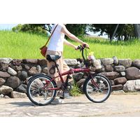 【自転車・折りたたみ】 ミムゴ Classic Mimugo FDB206SG-RL 1台（直送品）