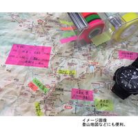 SICAD シカッド メモグラフ 19mm幅 グリーン GRMG19 1個