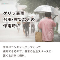 トップランド 充電式LEDライト付き 電源タップ 3個口 2段階調光 停電時自動点灯 携帯灯 M7410 1個