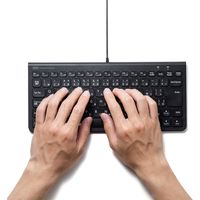 サンワサプライ USBスリムキーボード SKB-SL32BK 1個