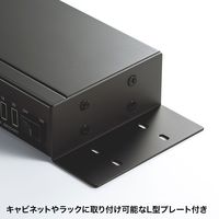 サンワサプライ USB充電器(20ポート・合計20A) ACA-IP64 1台（直送品）