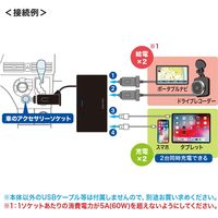 サンワサプライ USBチャージャー付2連ソケット(2ポート・4.8A) CAR-CHR78CU 1個（直送品）