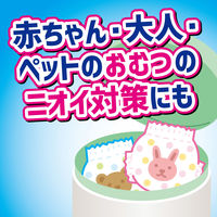 ゴミ箱のニオイがなくなる貼る消臭剤 生ゴミ 腐敗抑制 ミントの香り 1セット（1個×2） 大日本除虫菊