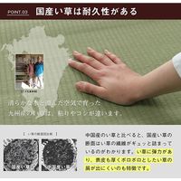 イケヒコ い草上敷 撥水ほほえみ 三六間10畳 4550×3640mm 1010180013902 1枚（直送品）