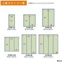 イケヒコ コバガード上敷 江戸間4.5畳 2610×2610mm 1020170012402 1枚（直送品）