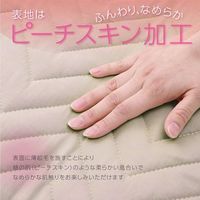 イケヒコ ベッドパッド 消臭 1200×2000mm 1192030370201 1枚（直送品）