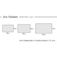 イケヒコ イビサ2 玄関マット 600×900mm ブラウン 1311190061801 1枚（直送品）