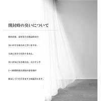 イケヒコ エクセレント カーペット 1600×2350mm 1320390010401 1枚（直送品）