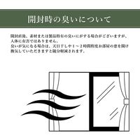 イケヒコ ガイア ラグ 1600×2300mm 1320480010401 1枚（直送品）