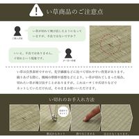 イケヒコ ラウム い草ラグ 江戸間2畳 1740×1740mm ベージュ 1080490020202 1枚（直送品）