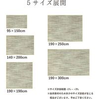 イケヒコ FXフォース 竹ラグ 吸着セット 1900×1900mm アイボリー 1100290144507 1枚（直送品）