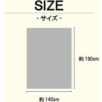 イケヒコ のんべえ 肌布団 ベージュ 1201530024202 1枚（直送品）