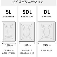 イケヒコ・コーポレーション 洗える寝具掛け布団 アムール PK シングルロング 1200300000000 1枚