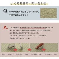 イケヒコ NSトロイ い草カーペット 1910×2500mm ブラウン 1060810064304 1枚（直送品）