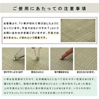 イケヒコ ネイラル 置き畳 700×700mm 1111500010447 1セット(9枚入)（直送品）