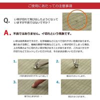 イケヒコ デザインリーフ 置き畳 820×820mm 1110100010211 1セット(4枚入)（直送品）