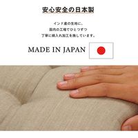 イケヒコ クララ ラクラクシートクッション グリーン 1210250122001 1枚（直送品）