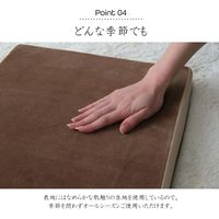 イケヒコ・コーポレーション mou(ムー) シート GN 40×40×4cm 1380000000000 1枚